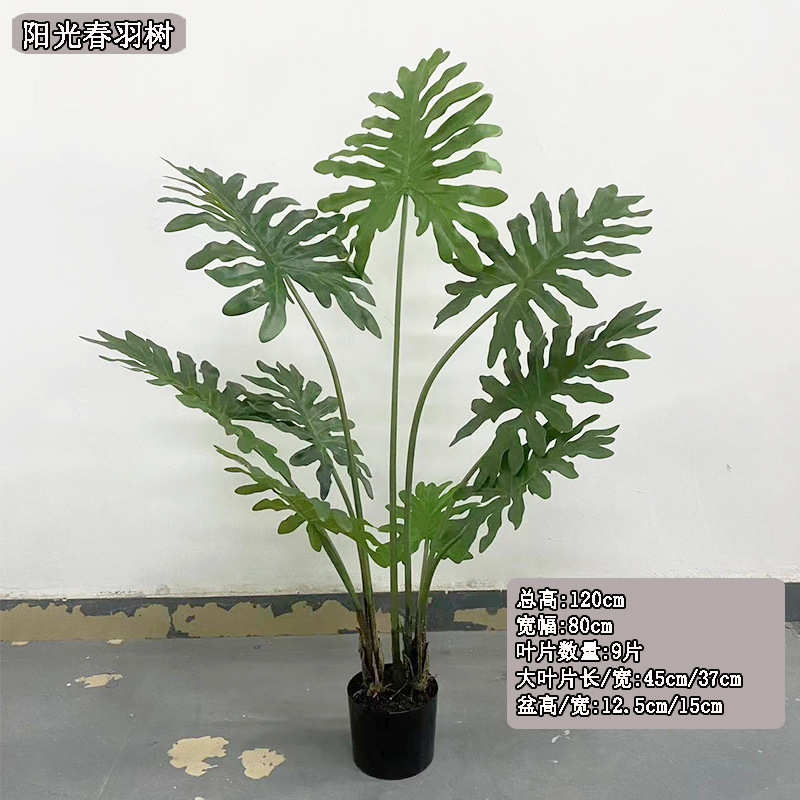 尾春散葵绿色造景植物落地树批发假仿真植物树盆栽室内羽阳光仿真