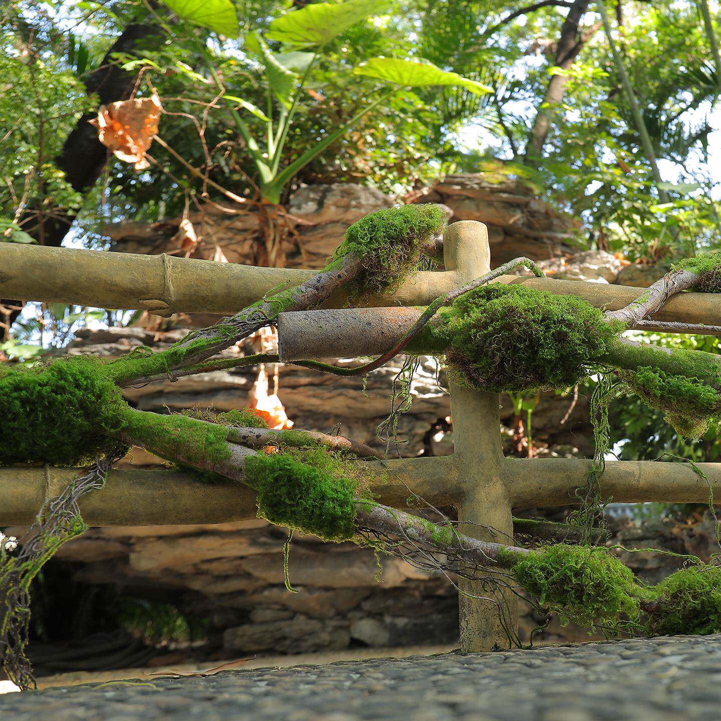 仿真树藤枯藤永生苔藓室内景观造景植物墙假树仿真树绿植藤蔓藤条