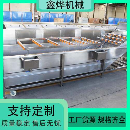 黄桃气泡喷淋清洗机 蓝莓杨梅清洗加工流水线 菌菇类清洗设备