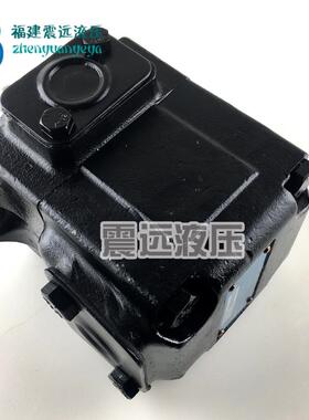 DENISON丹尼逊叶片泵T6D028(1R001R011R021R03)A1/B1/C1