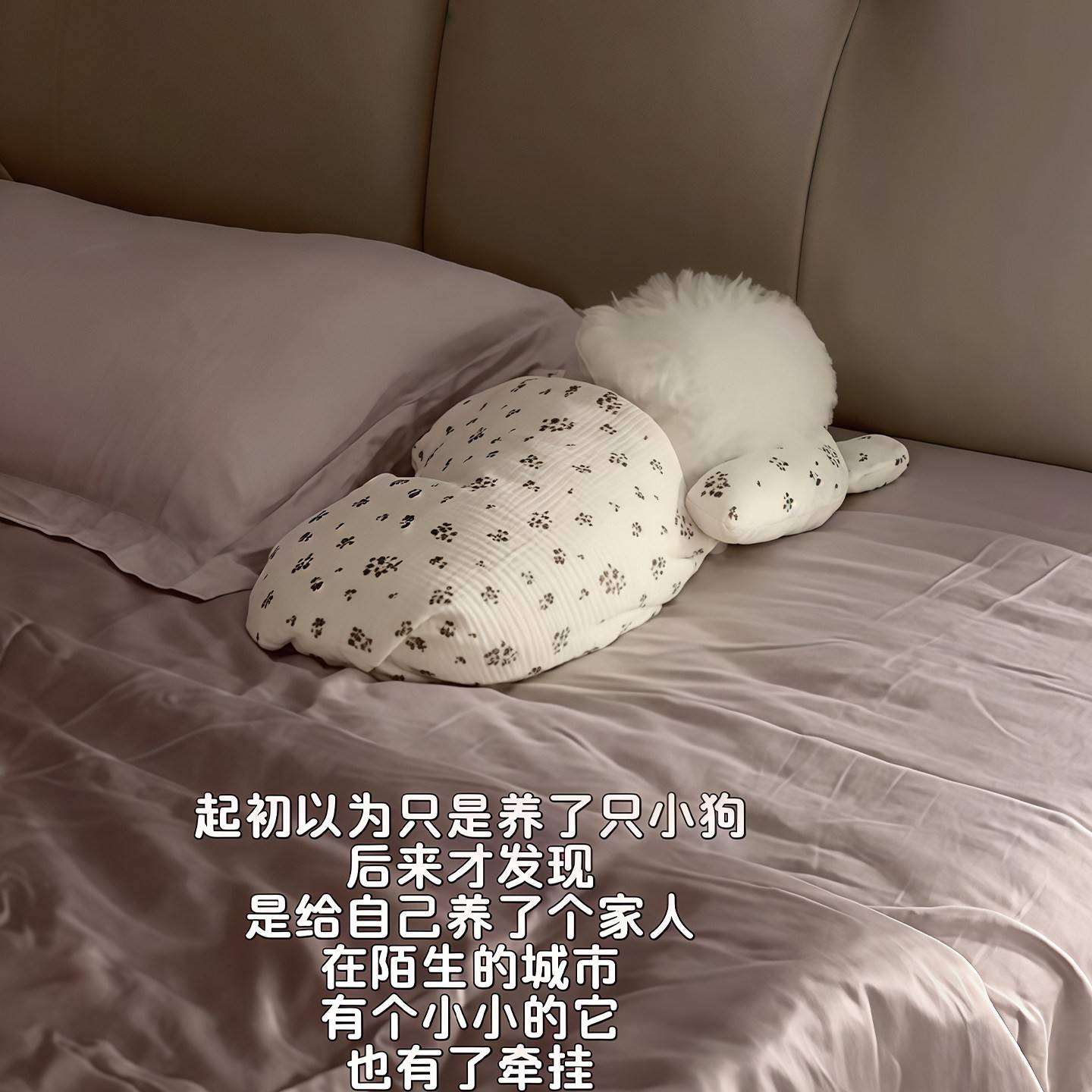 宠物毛毯猫狗毯子春夏空调盖毯四季通用睡觉毯带枕头小被子睡觉垫