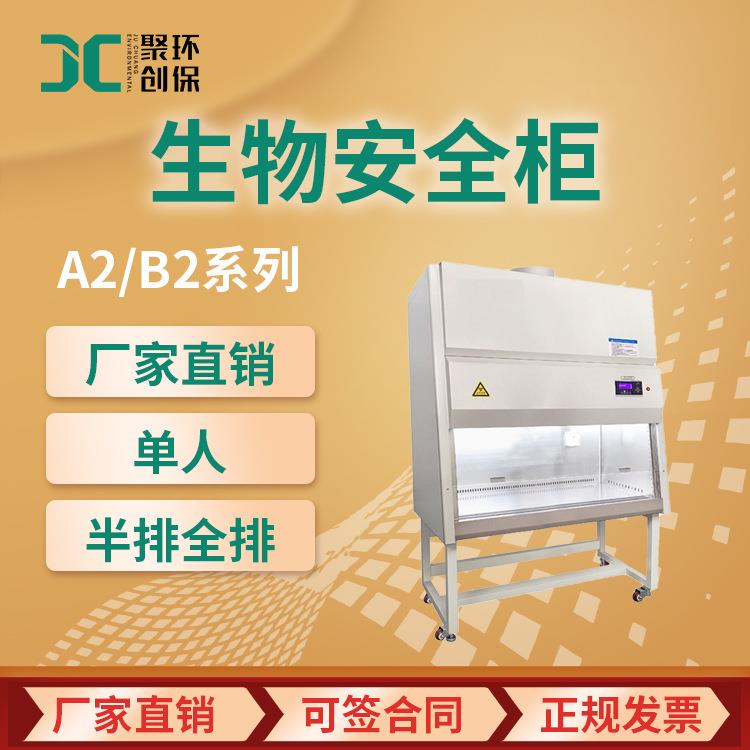 二级生物安全柜1000IIA2B2半排全排单人双人百级实验室超净工作台图片