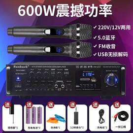 600W大功率蓝牙无线KTV音响功放机家用带EQ均衡器12V220V两用功放