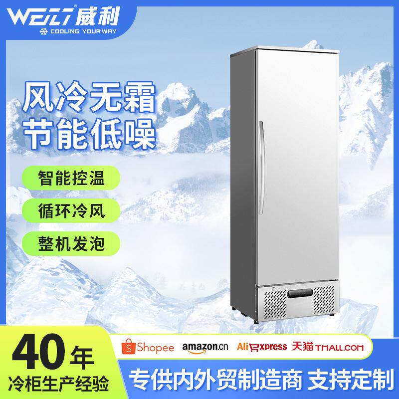 酒店商用风冷单门冷柜厨房立式冰箱速冻冰柜饭店冷藏冷冻双温冰柜