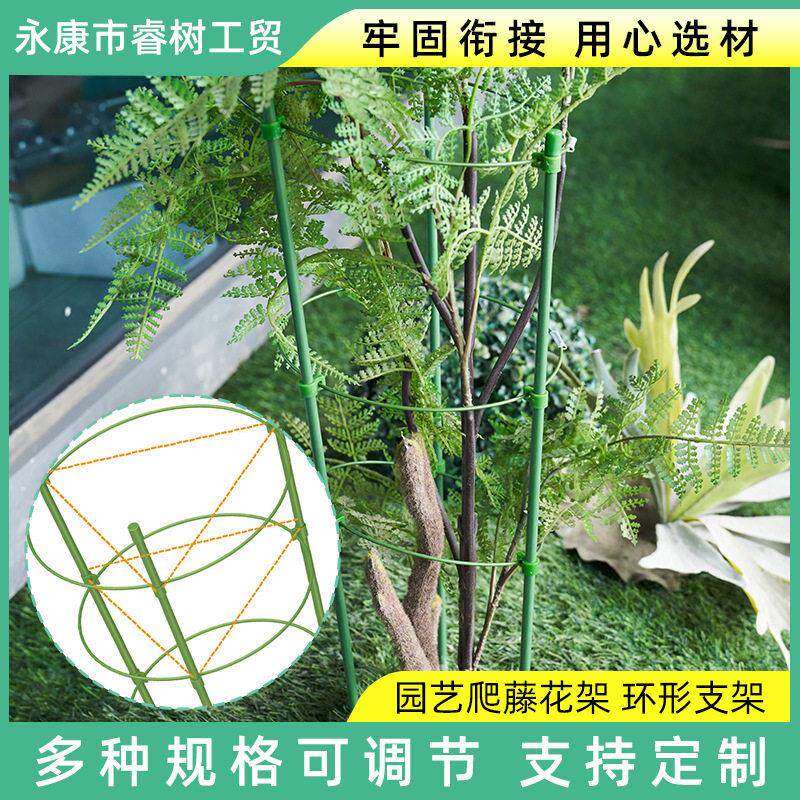 花支柱爬藤架铁艺花支架植物固定攀爬架绿植爬藤支架园艺用品
