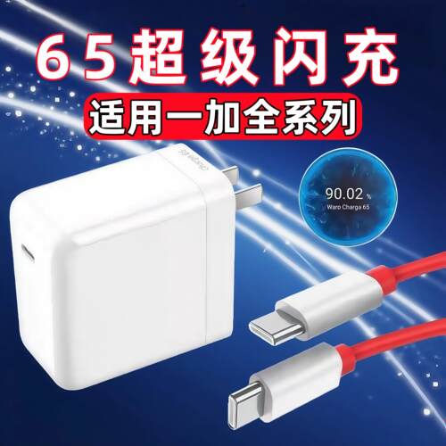 适用一加9充电器65超级闪充1+9Pro手机Warp快充头1+9RT充电插头OPPO一加8T充电头双type-C口65闪充加长数据线