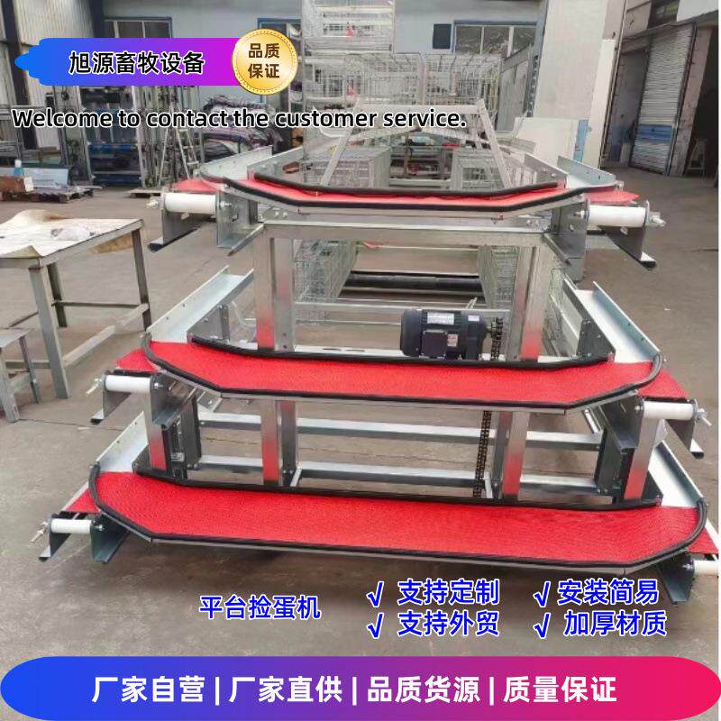 平台捡蛋机阶梯/层叠蛋鸡笼可用自动化捡蛋设备