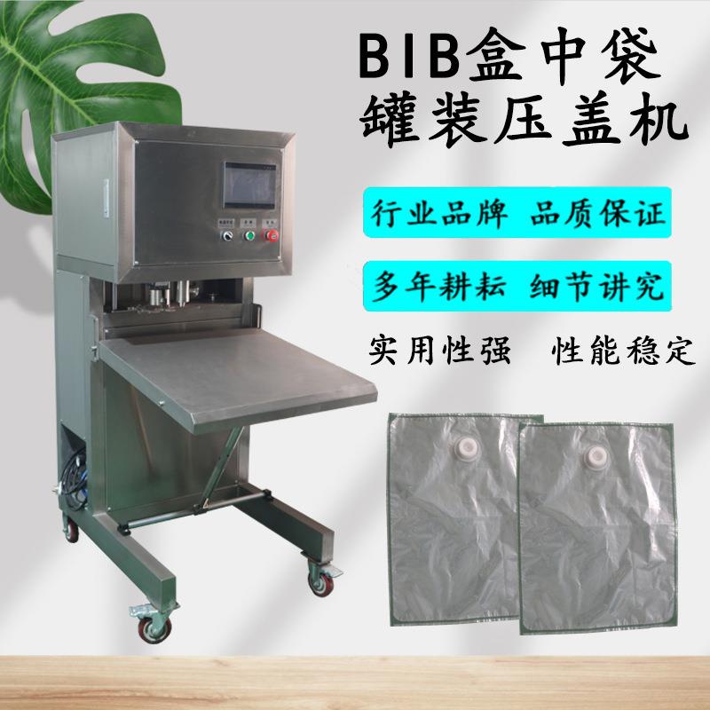 BIB无菌袋灌装机液体盒中袋罐装拧盖机BIB袋子称重灌装机