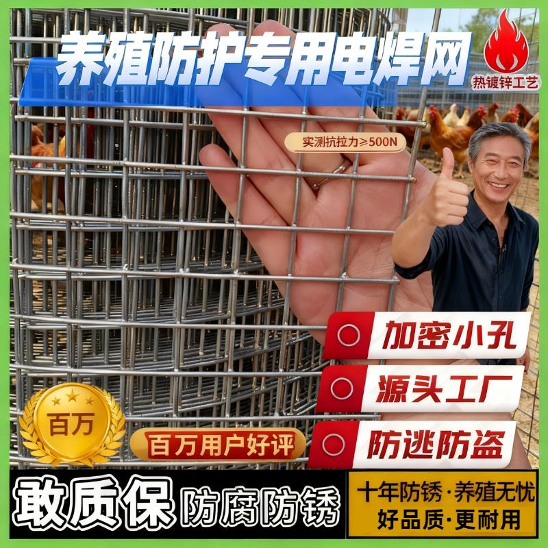 小孔铁丝网防锈围栏网热浸镀锌养殖网家用防猫防鼠电焊网阳台防护
