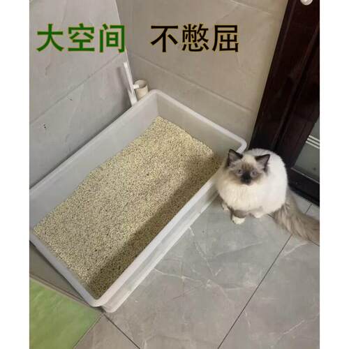 缅因猫集装箱猫砂盆全开放特大号周转箱巨型特大号猫厕所