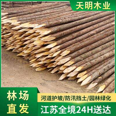 松木桩河道治理打桩木防汛护坡工程防洪支撑削尖木桩林场直发