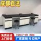 成都实验室工作台钢木实验台化学实验桌全钢PP化验室边台通风整体