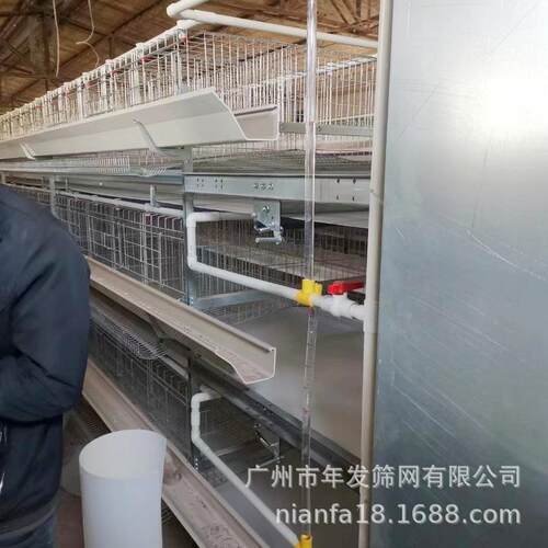 广州现货出口蛋鸡笼自动滚蛋笼具饲养蛋鸡铁丝网笼Chickencage