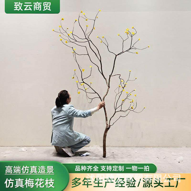 仿真梅花枝天然干树枝造型枯树干支橱窗装饰拍摄道具插花造景枯枝