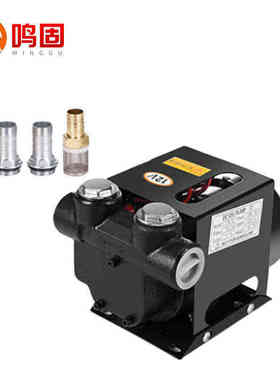 鸣固柴油泵ACTP60电压抽油泵电动加油泵直流加油泵吸油泵1寸60L柴