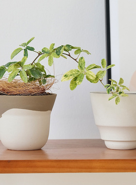 北欧迷你陶土粗陶陶瓷花盆小创意多肉可爱苔藓日式陶盆球兰ins