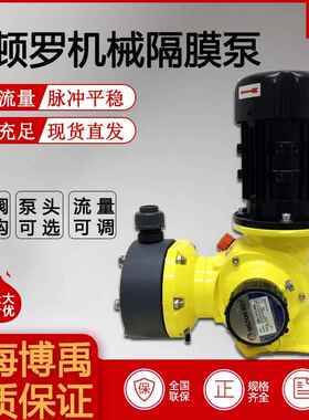 LMI米顿罗计量泵加药泵GM0240/GB0350系列机械隔膜