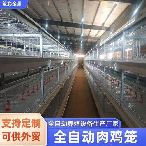自动化肉鸡笼三层四层养殖场鸡舍全套养殖设备自动清粪喂养鸡笼
