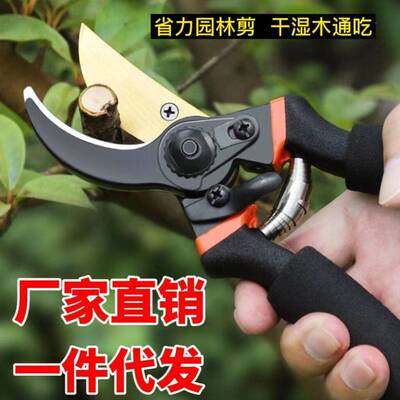德国精工艺园剪刀剪树枝专用剪刀修枝剪园林果树修花家用sk5剪子