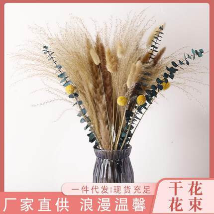 云南小芦苇干花兔尾草小拂尘永生尤加利组合花束干花家居插花摆件