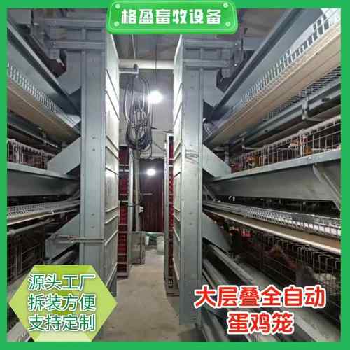 全自动大层叠蛋鸡笼层叠式养鸡设备自动捡蛋清粪可按需制作
