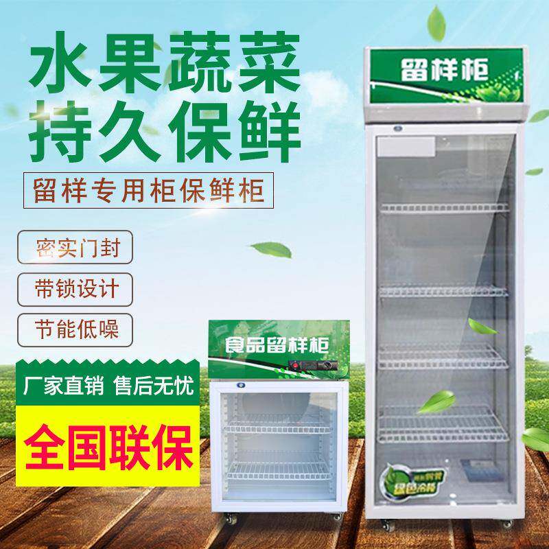 幼儿园食品留样柜饮料冷柜小冰箱小型单门商用冷藏保鲜展示柜单锁