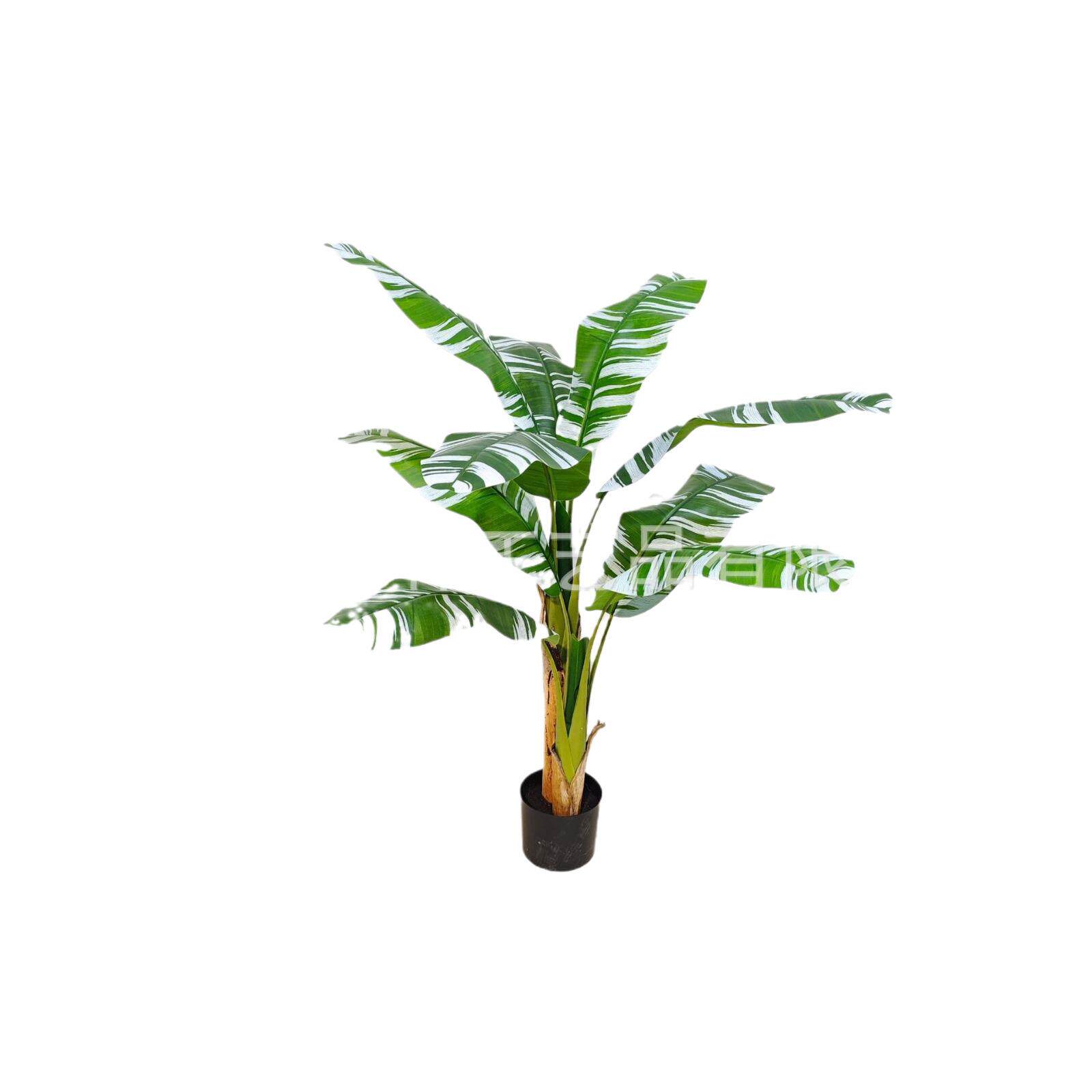 仿真白边芭蕉树仿真绿植室内外装饰香蕉树家居装饰可拆装