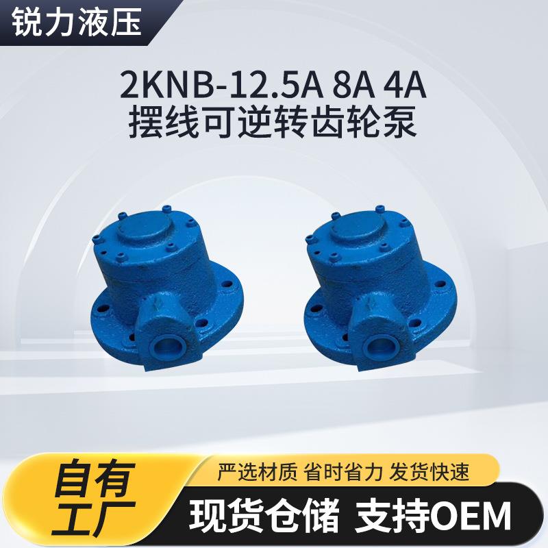 2KNB-12.5A8A4A摆线可逆转齿轮泵减速机润滑泵齿轮箱油泵厂家