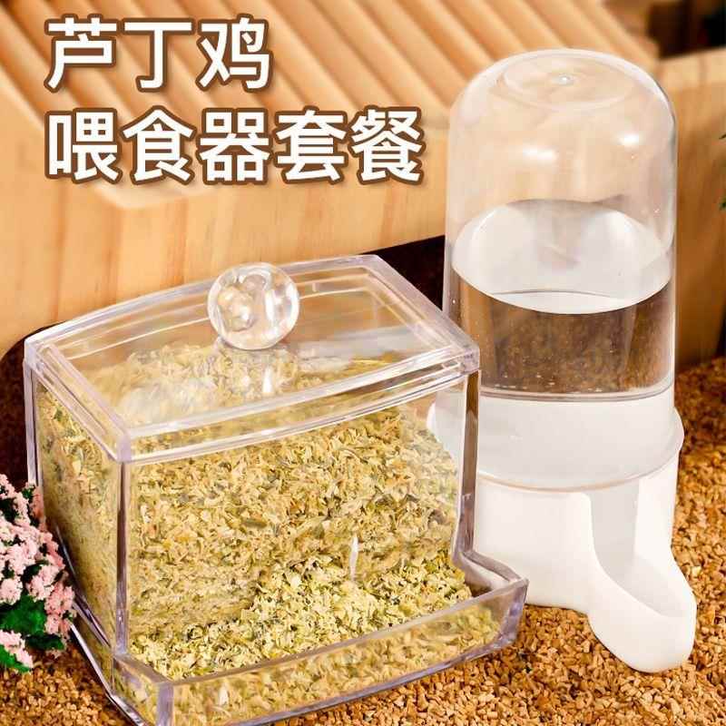 鸡用自动饮水器芦丁鸡喂食器饲料盒小鸡食盒水壶喂水台卢丁鸡宠物