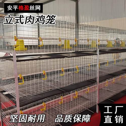 肉鸡笼立体层叠式摆放多组规格的生产厂家热镀锌自动化养殖设备