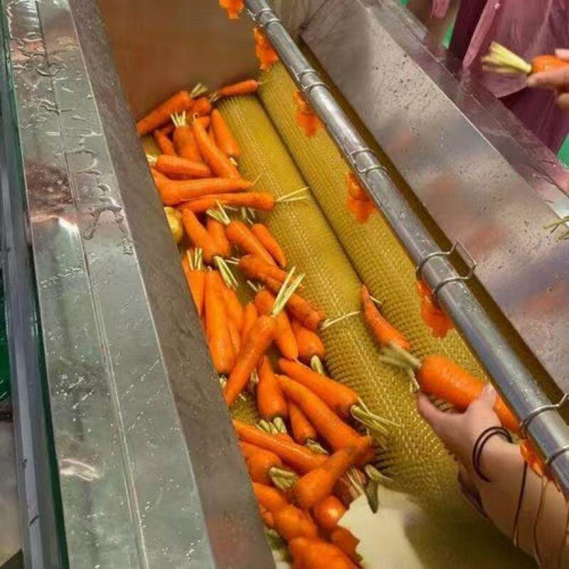 多功能毛刷式去皮清洗机花生萝卜去泥机猪头肉猪蹄毛辊清洗器