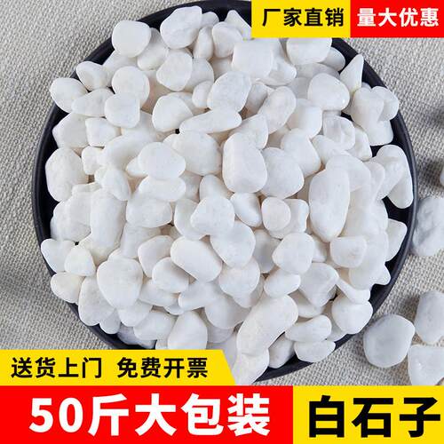 50斤装白色石子大鹅卵石庭院铺地铺路小白石头花园造景景观白石子