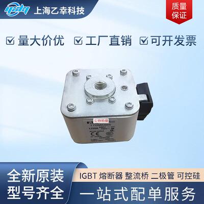巴斯曼熔断器 170M6466 170M6467 170M6468 170M6469 170M6470