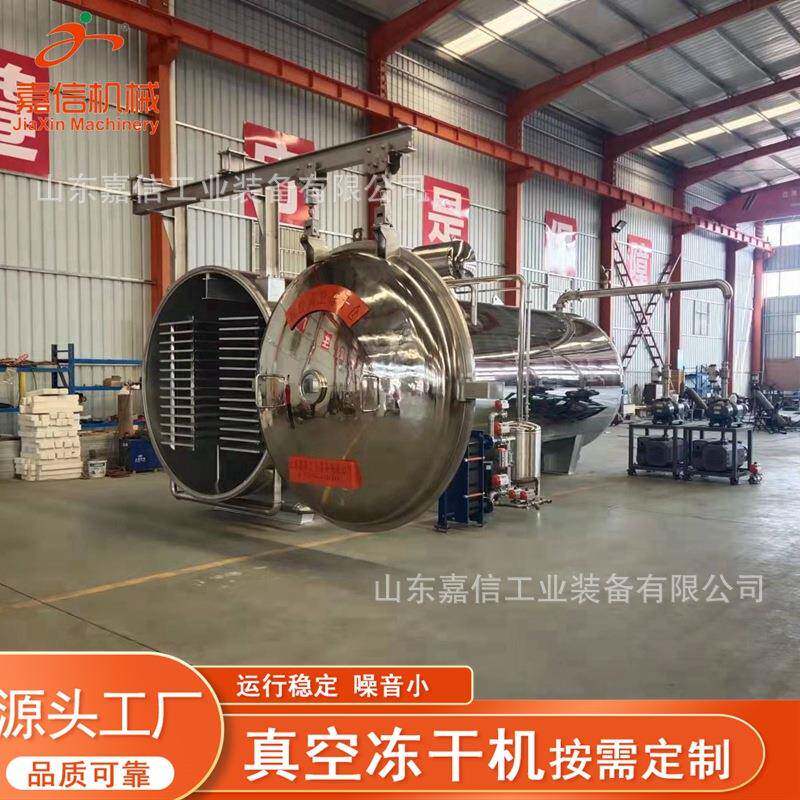 商用生鸭脯鸡胸肉芒果低温真空冷冻干燥机生产商FD真空冷冻干燥机