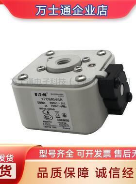170M6544 170M6545 170M6546 170M6547 170M6548 170M6549熔断器