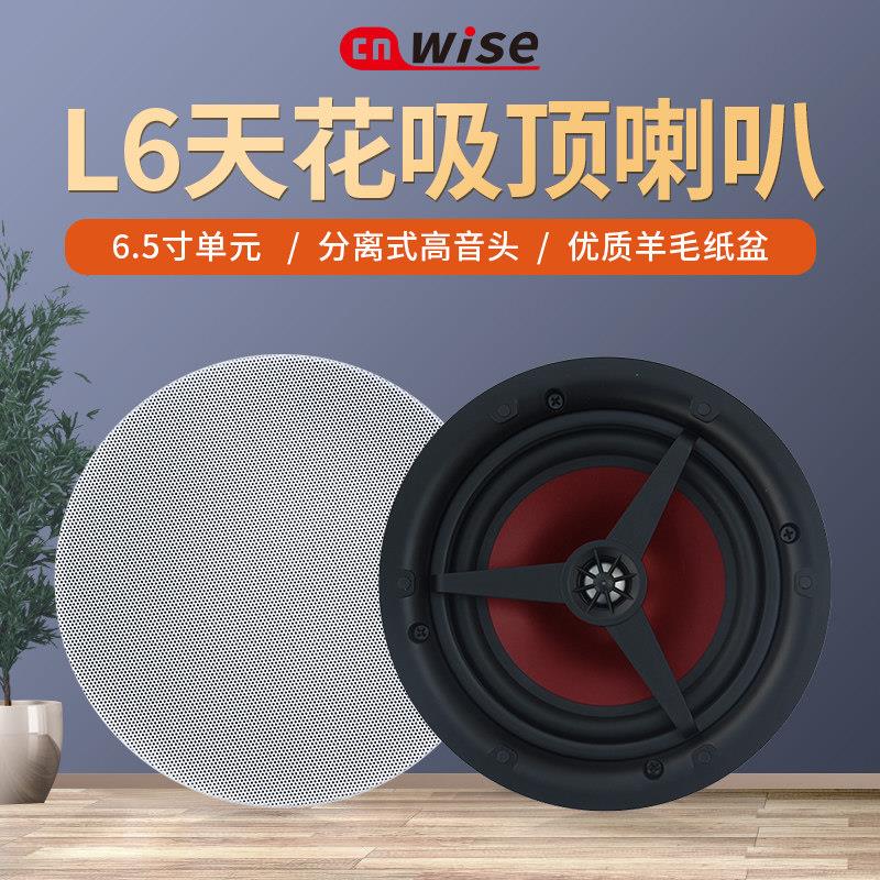WISE华尔思L5/ L6/ 407/406/404/403/411吸顶喇叭定阻喇叭图片