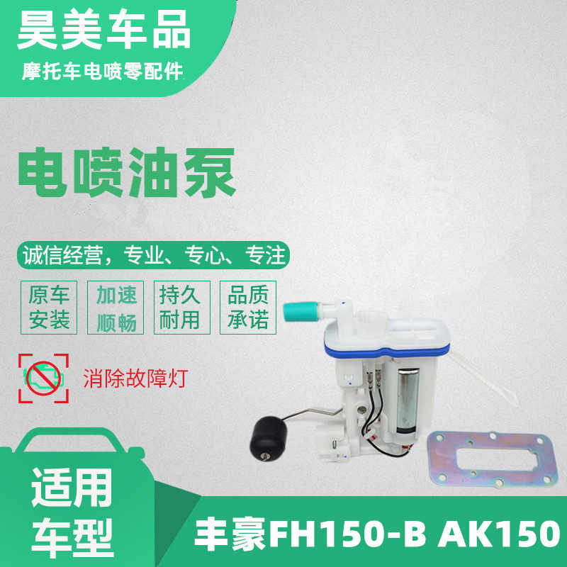 适用于丰豪电喷跨骑摩托车配件FH150  AK150国四油箱燃油泵汽油泵