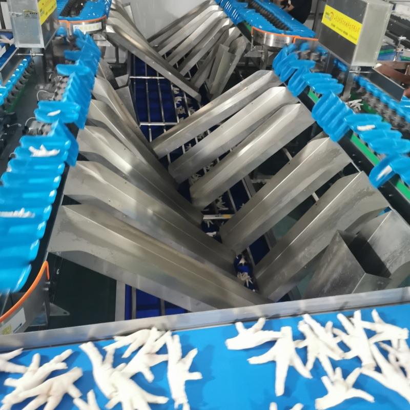 鸡爪鸡翅重量分选机多级别自动称重水果分拣机连续式鸡鸭鱼分级机