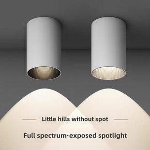 纳维亚Cob 斯堪 高管射灯Led表面安装 家庭防眩射灯无孔天花板安装