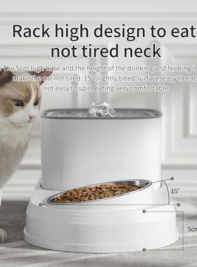2in1 Cat Water Fountain Automatic Cats Drinker and Feeding B