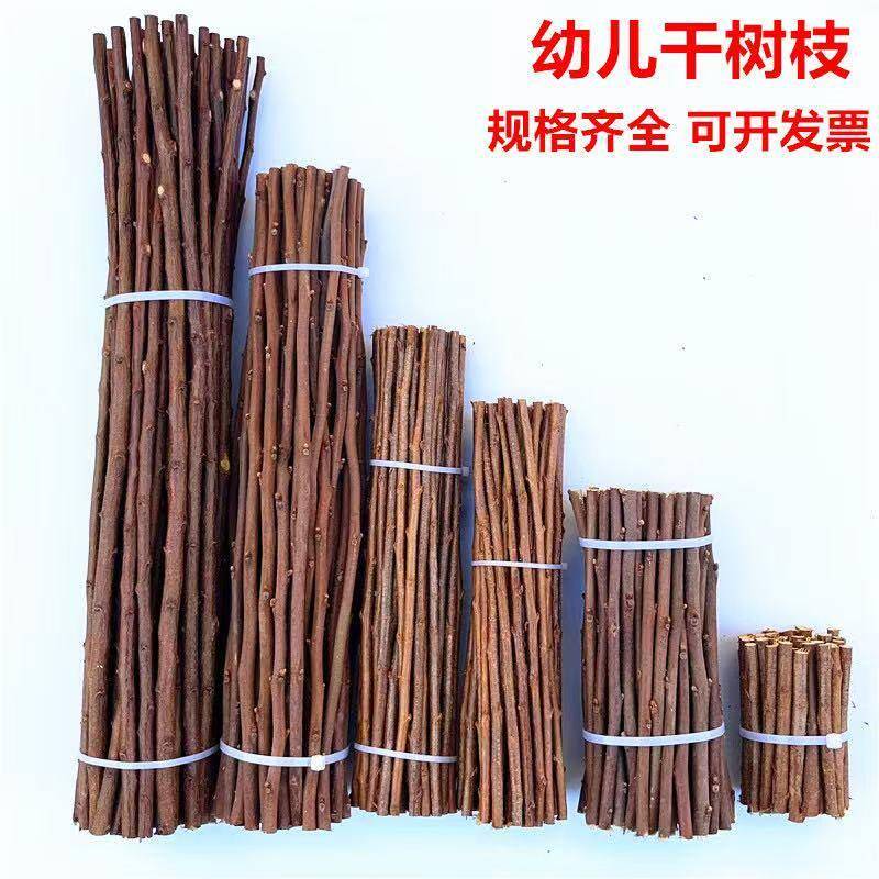 树枝装饰干枝幼儿园diy手工干树枝原木干枝条天然小木棍枯树支干