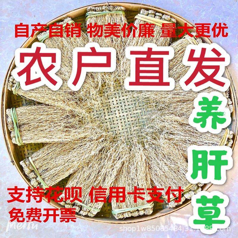 粤北特产养肝草护肝草丝线根开胃草龙须草酒店食材广东汤料鸡汤