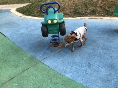 aldi奥乐齐奶粉为什么那么便宜?ALDI奥乐齐还是进口奶粉吗?