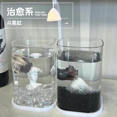 斗鱼专用双缸鱼缸新款高透客厅迷你小型造景玻璃桌面双格创意生态