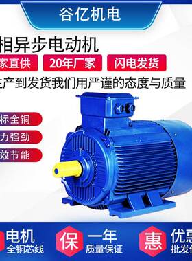 YE3-200L1-2-30KW三相异步电动机水泵清洗机风机配套三相电机