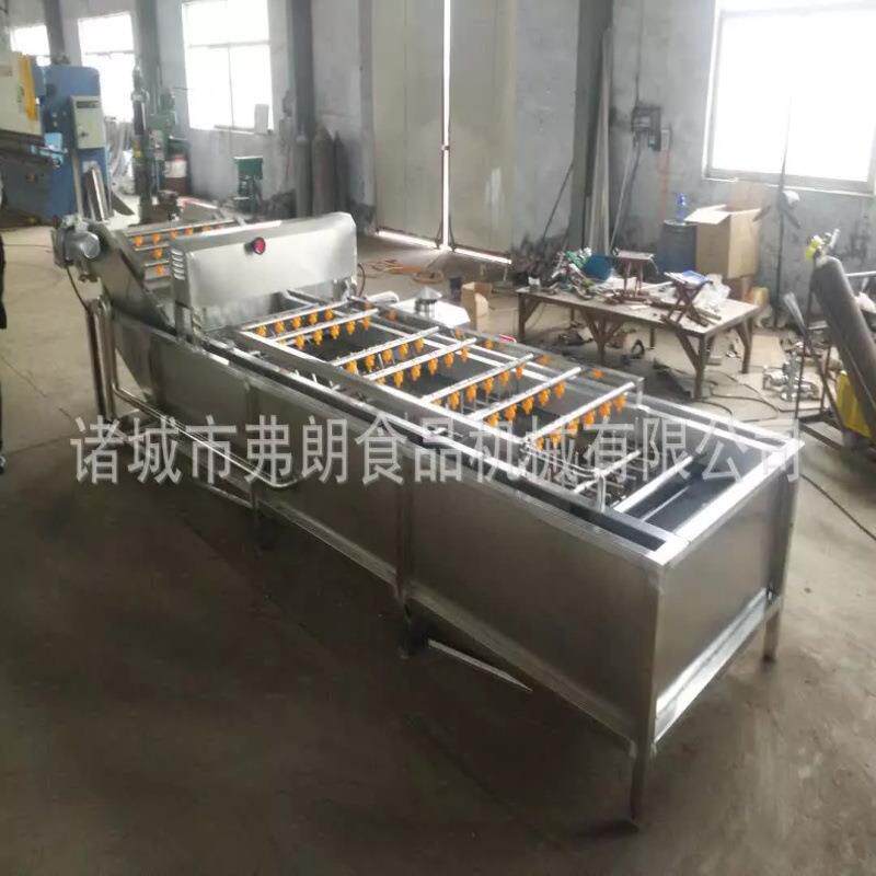 圣女果清洗机 木耳气泡清洗机 果蔬清洗机 清洗机加工定制