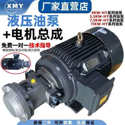适用液压柱塞油泵电机组HY10+5.5KW液压泵总成内轴电机液压站配件