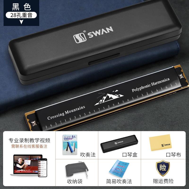 高档鹅口琴24孔28孔复音天C学者调正品初入门儿童男士专业演奏乐