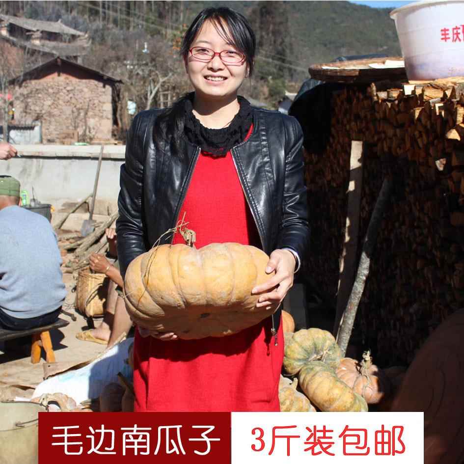哀牢山彝家自种老品种生南瓜子原味毛边云南老南瓜籽手工精选饱满