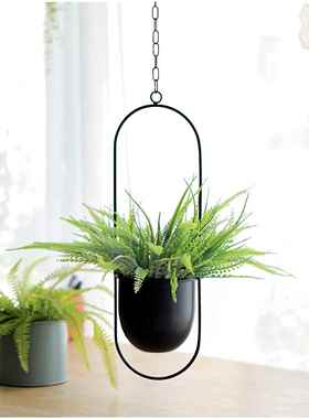 新款直销吊盆铁艺悬挂水培植物吊兰吊饰阳台欧式花园懒人吊兰悬挂